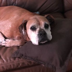 Meet your Posher, Macie